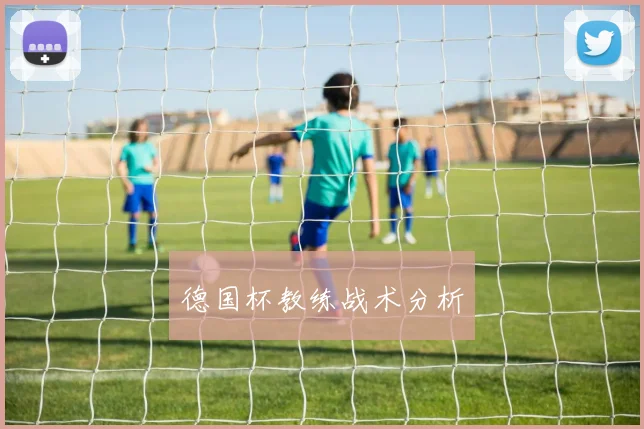 德国杯教练战术分析