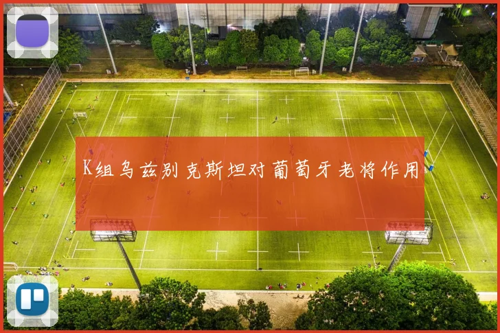 K组乌兹别克斯坦对葡萄牙老将作用