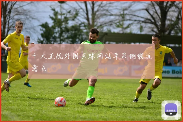 十大正规外围买球网站苹果侧载注意点